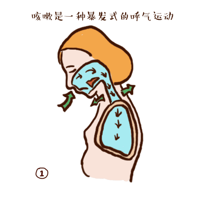 咳嗽的17种用药方案及11种预防保健措施