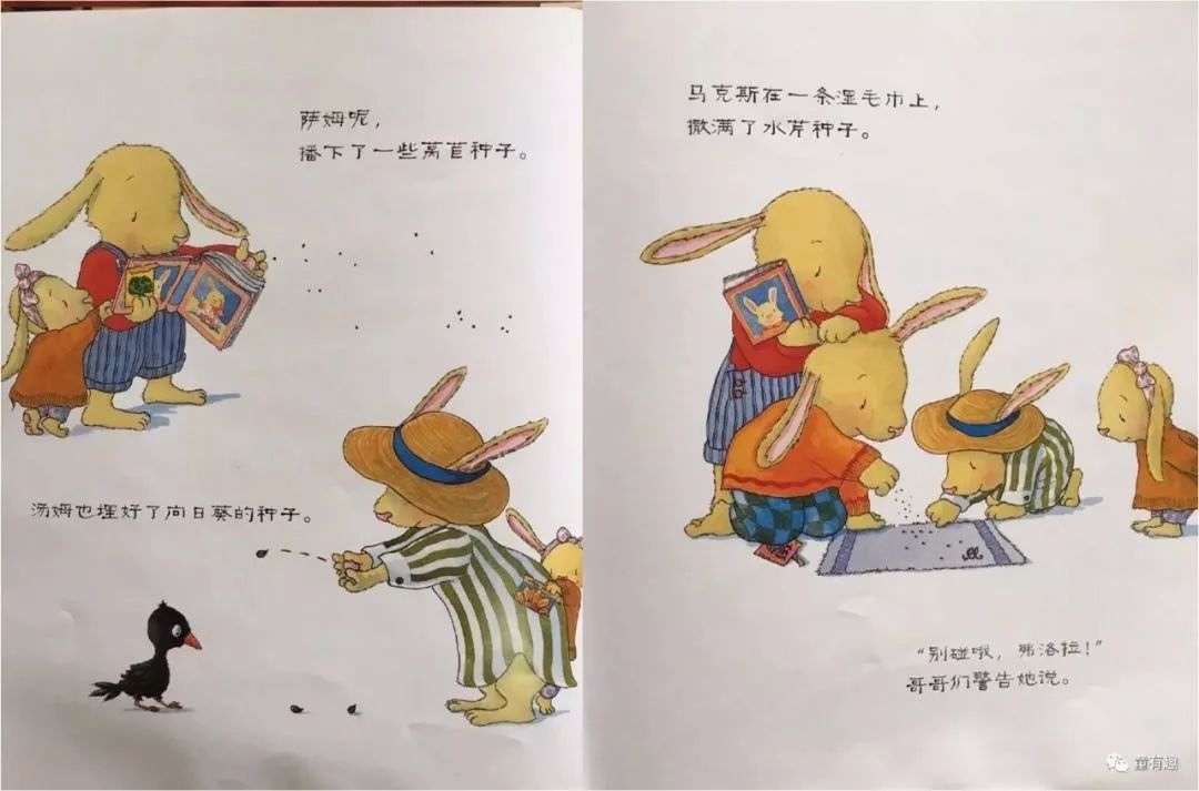 树妈精选绘本弗洛拉的花
