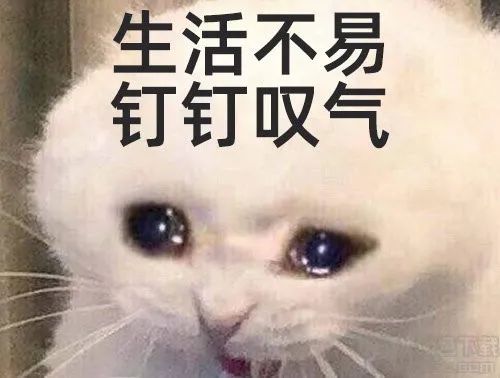 网课太欺负人了!_软件