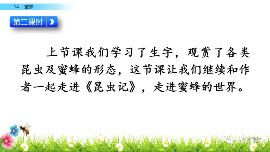 三年级课文《蜜蜂》 三年级课文蜜蜂节选自