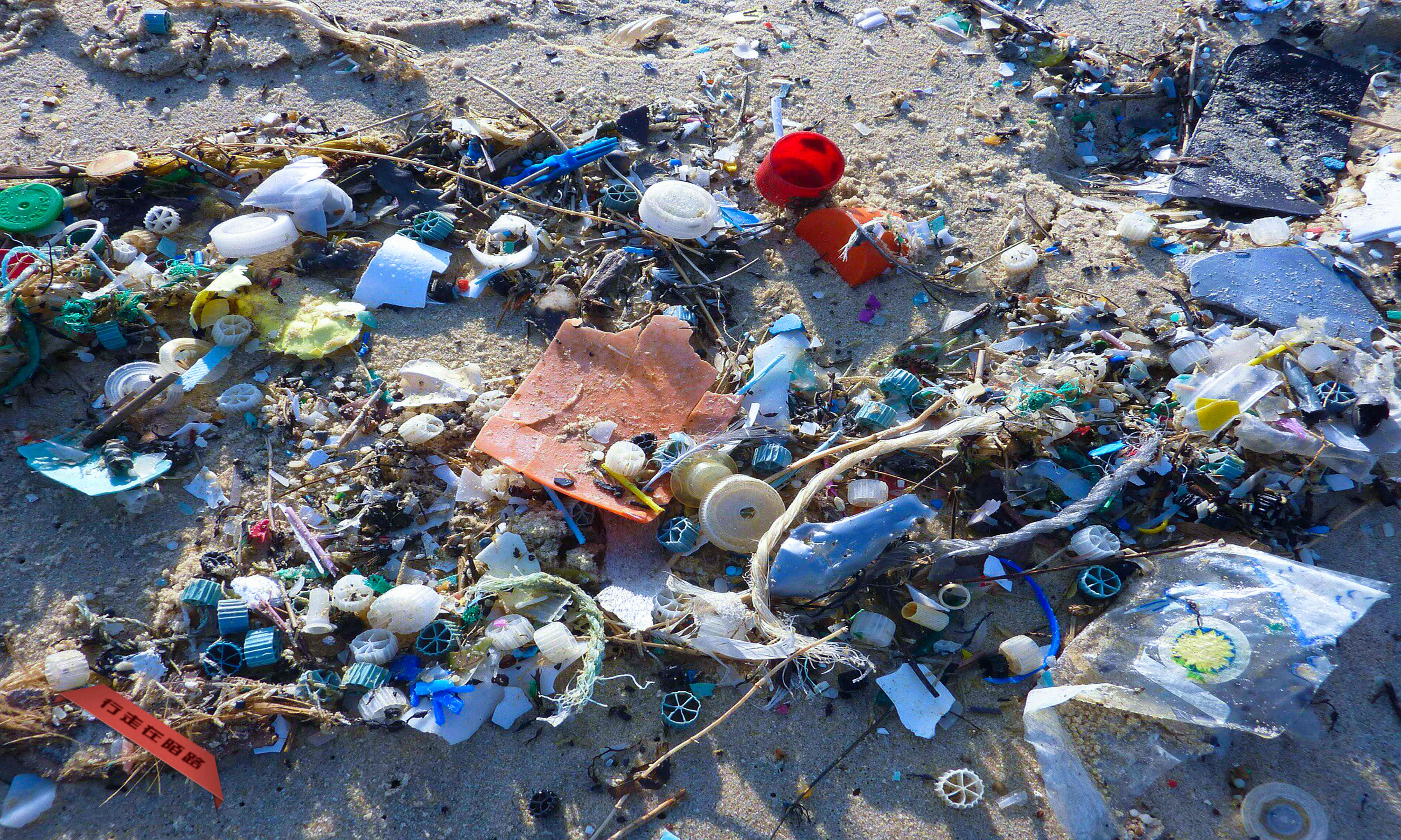 天堂岛离大陆5000公里无人居住却有3800万件塑料垃圾