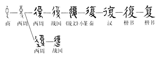 《说文解字》第289课:细说"复(复"字