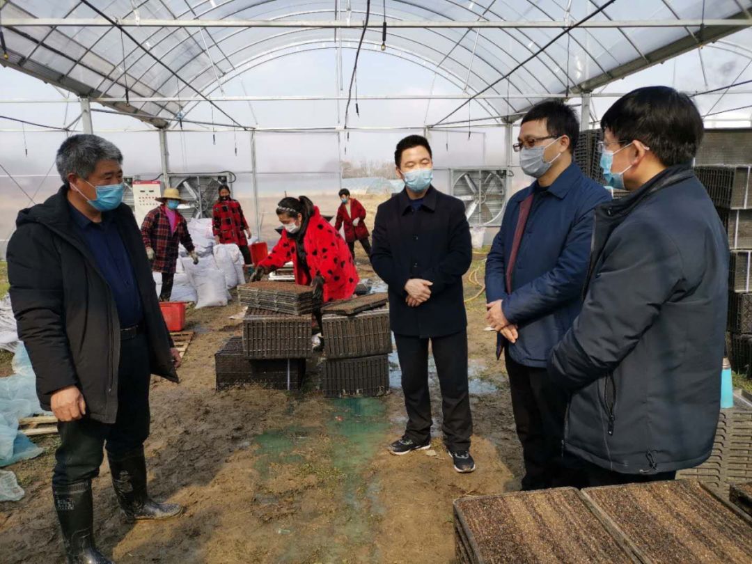 周党莲花农机合作社理 事长包乃勇正组织社员有序下田,错峰作业,在