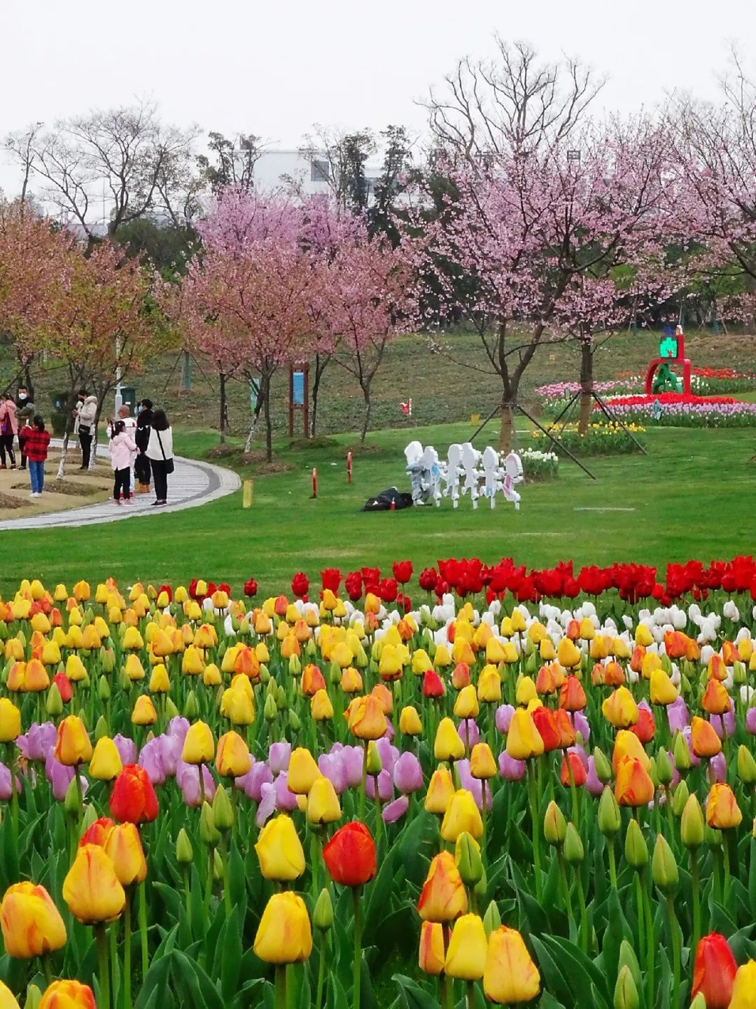 宁波植物园图片大全图片