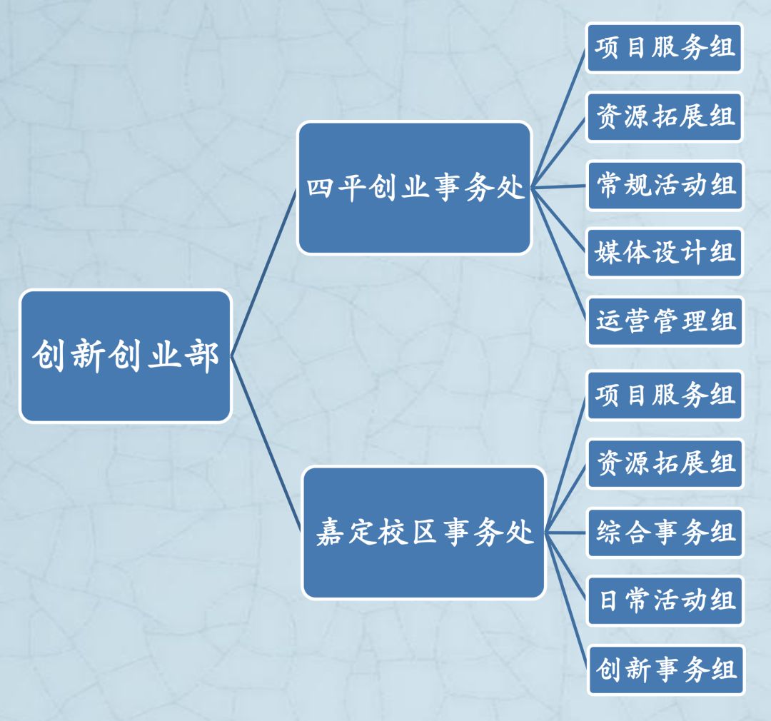 自由创造的理念,用全新的组织架构为你搭建成长的阶梯,创新创业部下