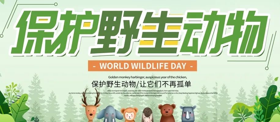 停课不停学,思考不停歇——写在3月3日世界野生动植物保护日