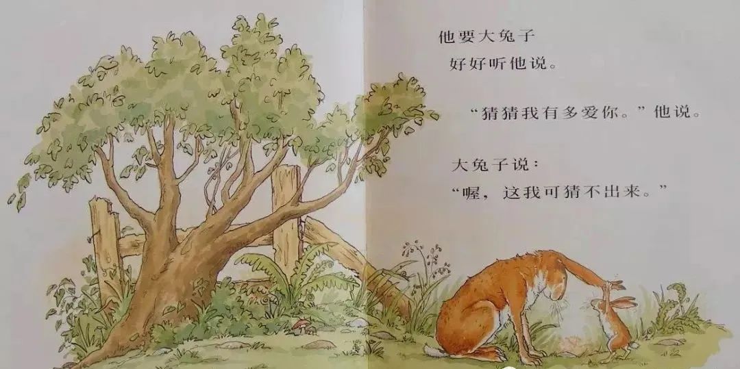 老师的提问:1.小朋友们,你喜欢故事里的小兔子吗?为什么?2.