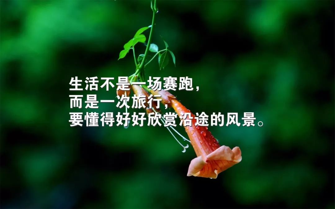 微信早安励志激励语自我激励的励志句子