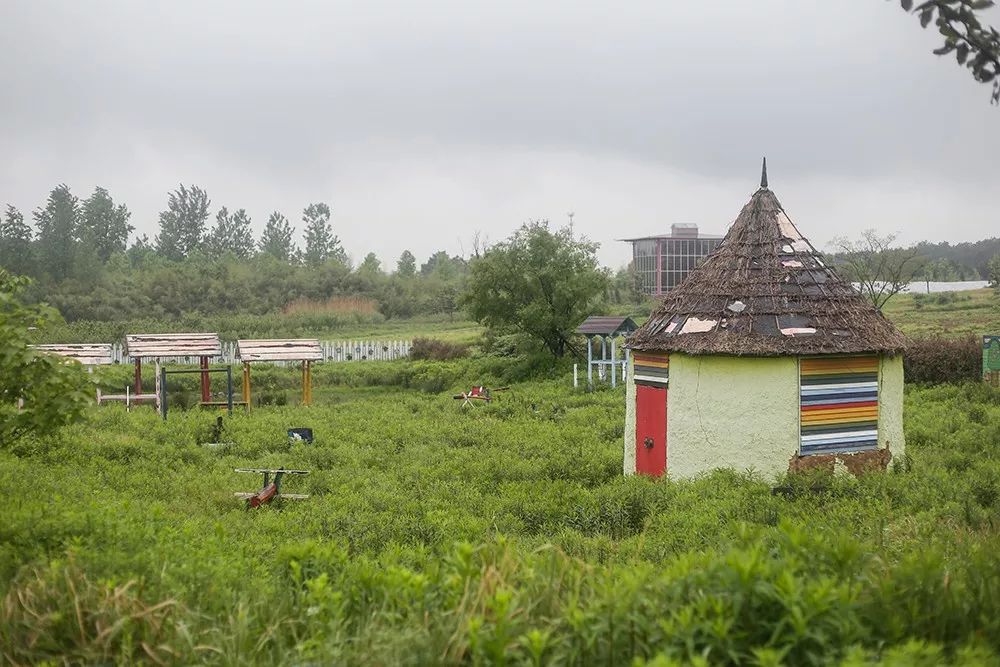 专治各种不开心1800亩的大农场春夏农场二