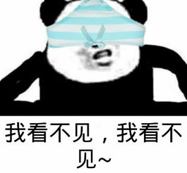 太强了qq更新5个功能连微信都要学