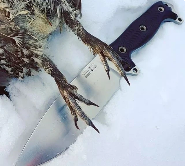 全球罕见军刀:第2特种兵最爱用,第1二战美军大量装备_卡巴