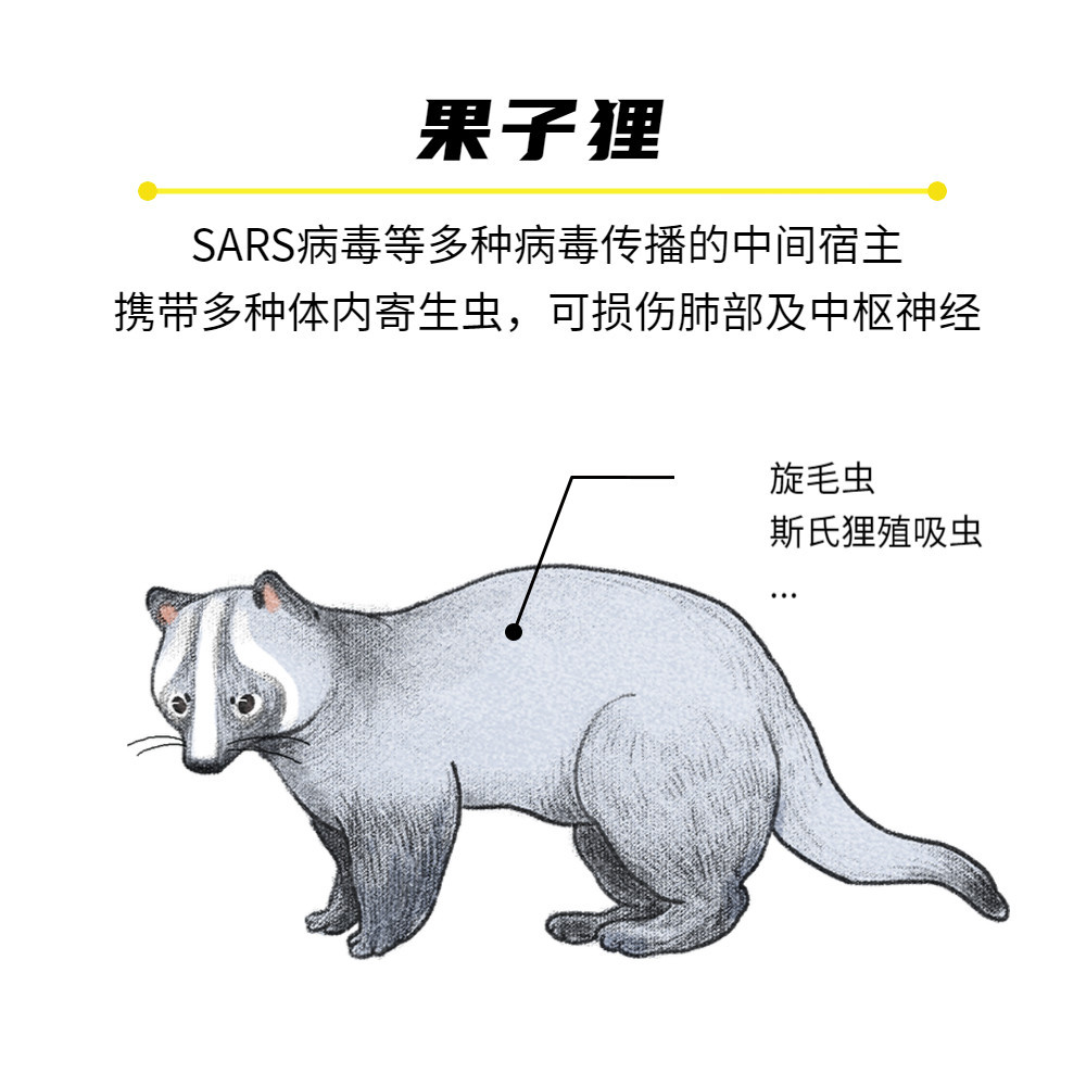 万人热议——还有哪些"疑似"野味的"漏网之鱼"?