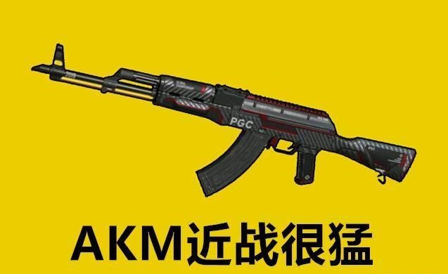 "吃鸡"被很多玩家忽视的步枪,数值不必m4差_武器