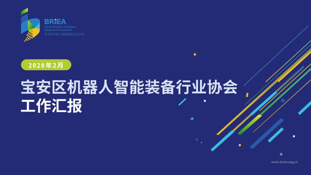 BRIEA 2020年2月份工作汇报