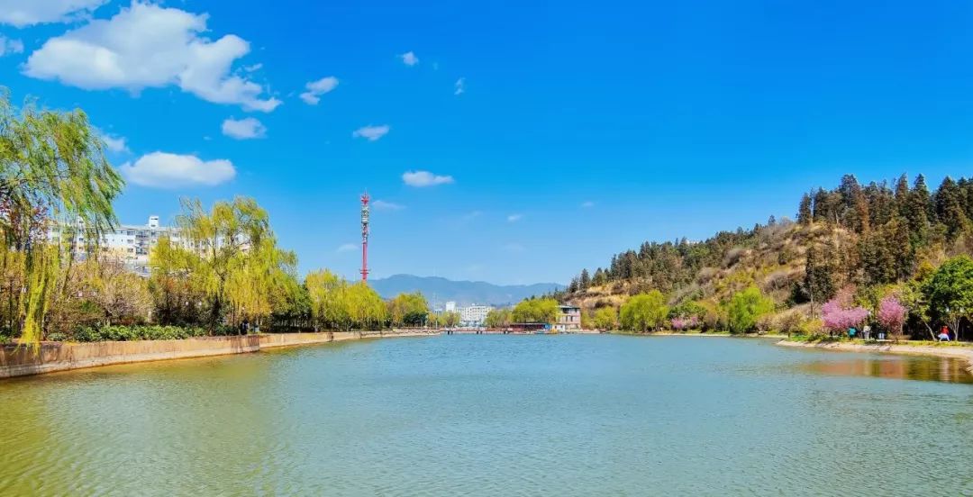 云踏青 | 足不出户,带你感受大姚的春意