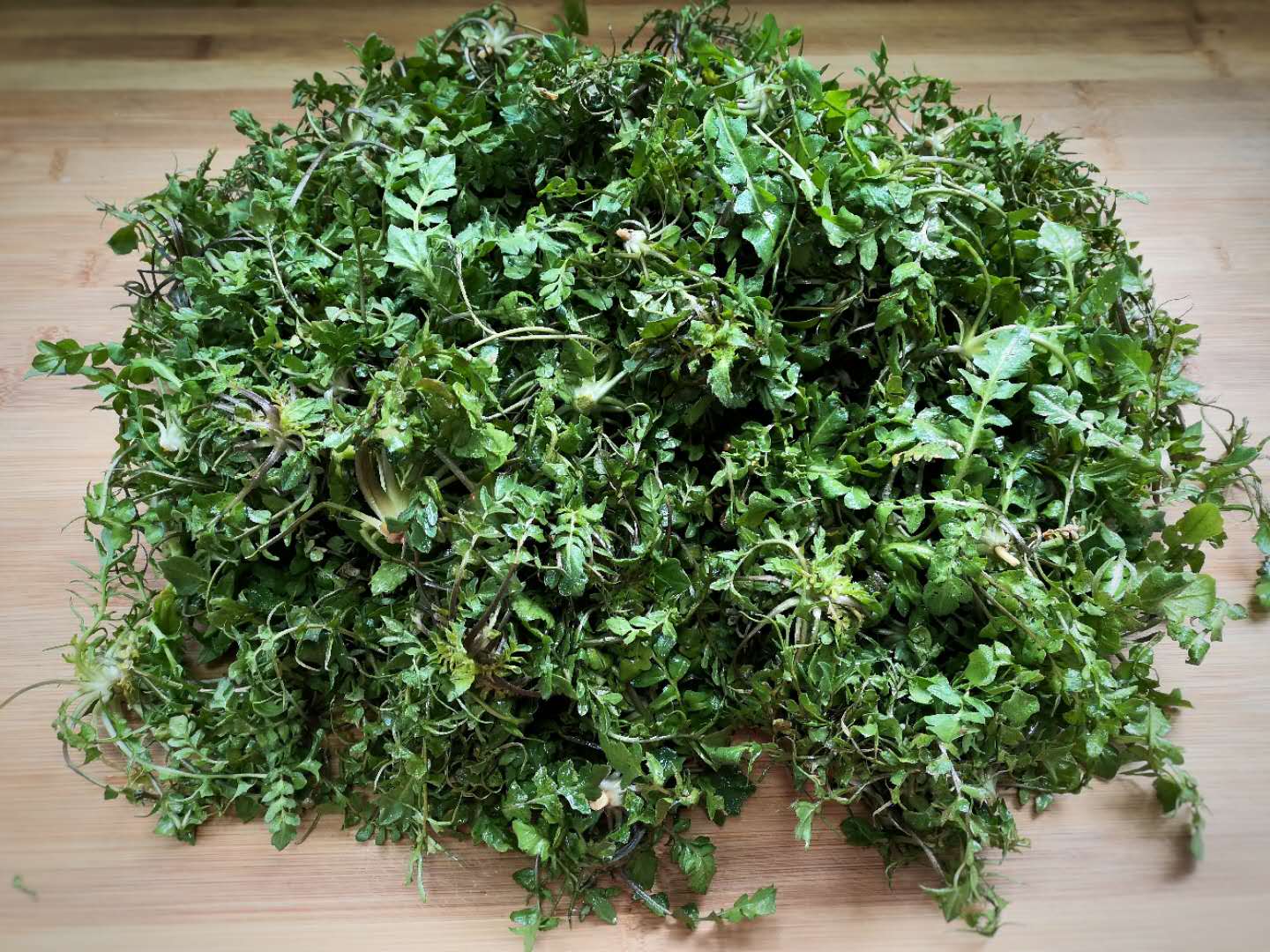 香荠菜 来自搜狐网