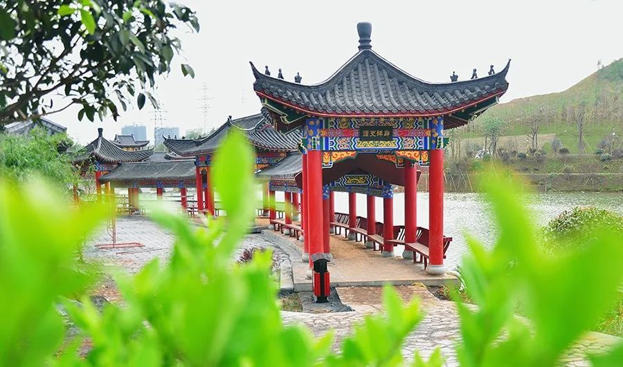 在桂阳最美的春天,一起"云"春游!