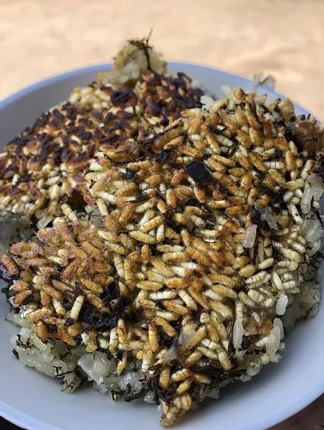 脚步 宅家动动手指便能享用美味 来源:洪江区融媒体中心 记者:蒋青苓