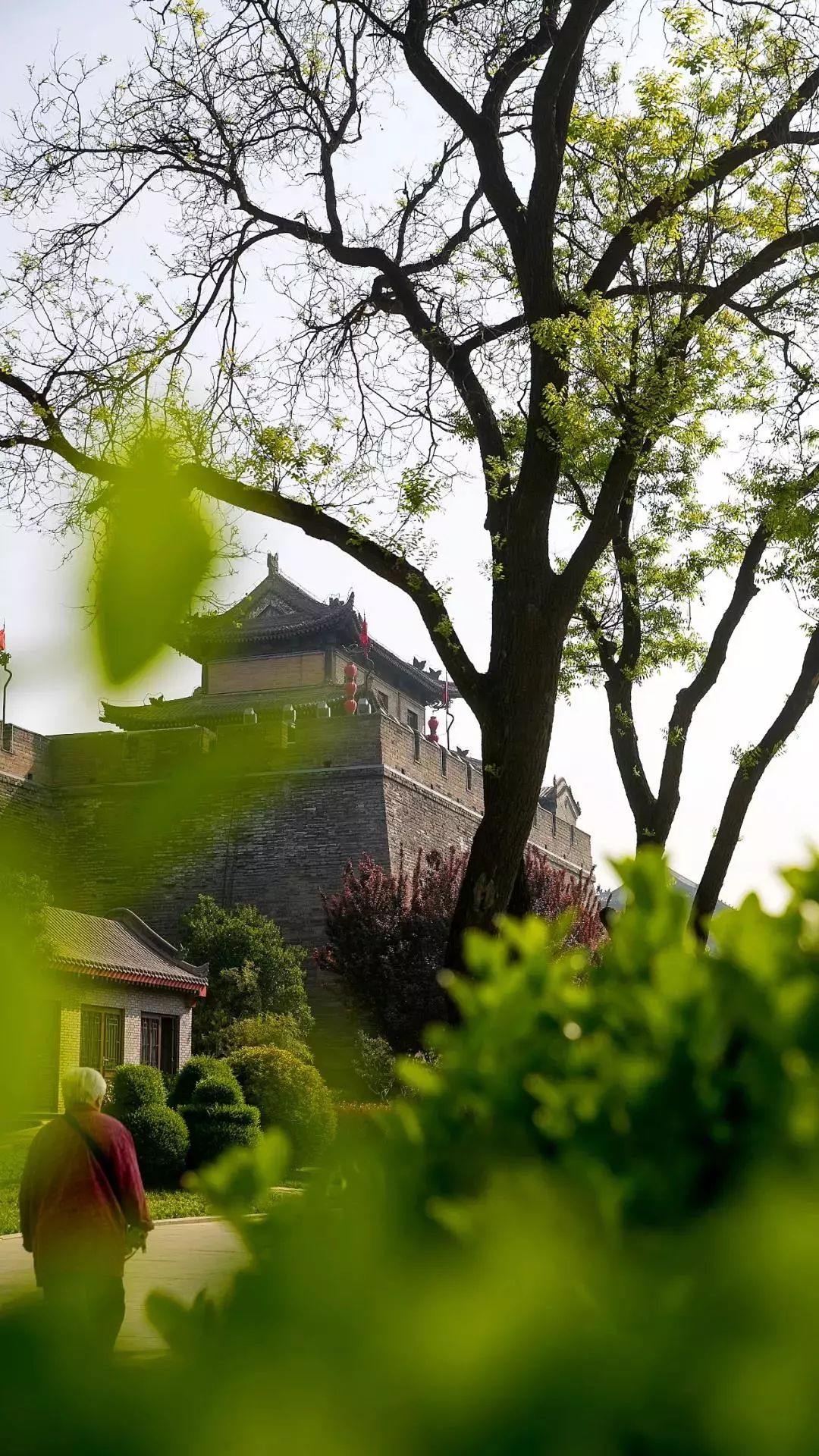 初见2020西安城墙的春天!景色虽好,切勿扎堆!