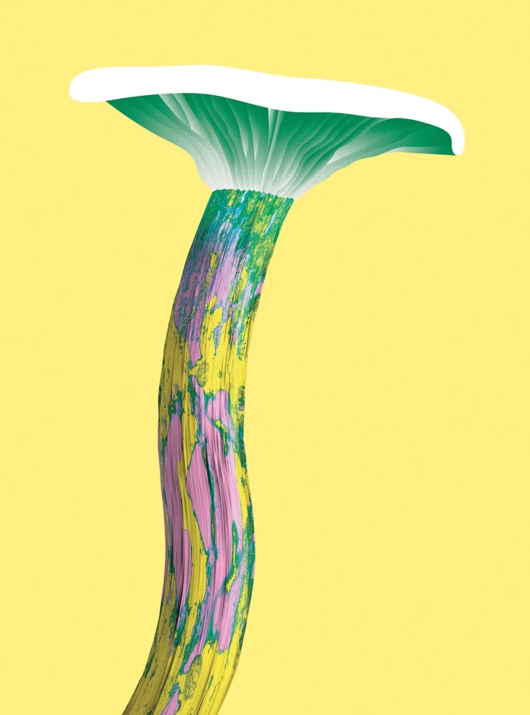 罩上迷幻滤镜的蘑菇百态