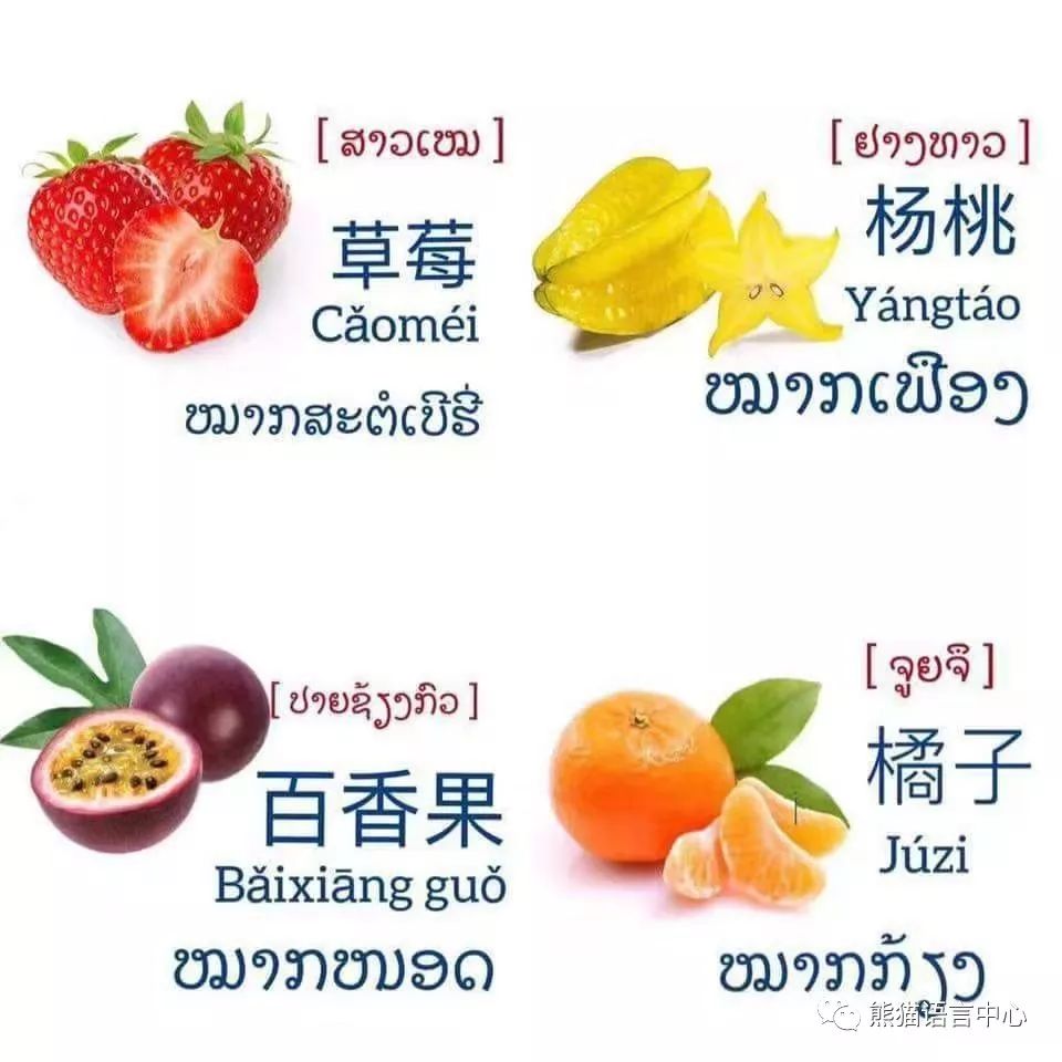 学会瓜果蔬菜老挝语的表达,买菜可以用上啦!