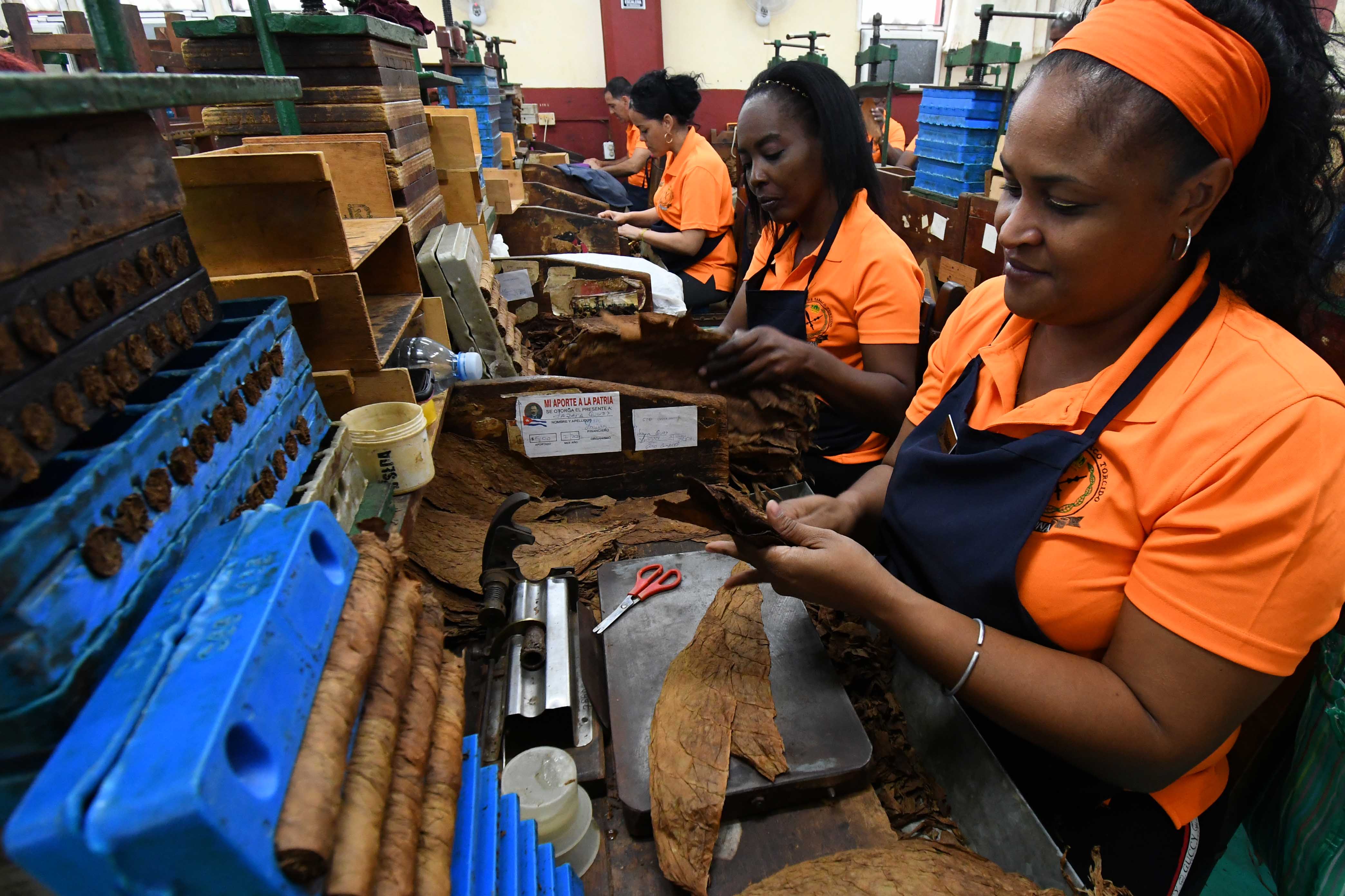 古巴优质手卷雪茄诞生记——访古巴最大雪茄厂