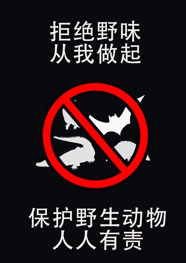 新科动漫邀请您关注和保护野生动物从你我做起