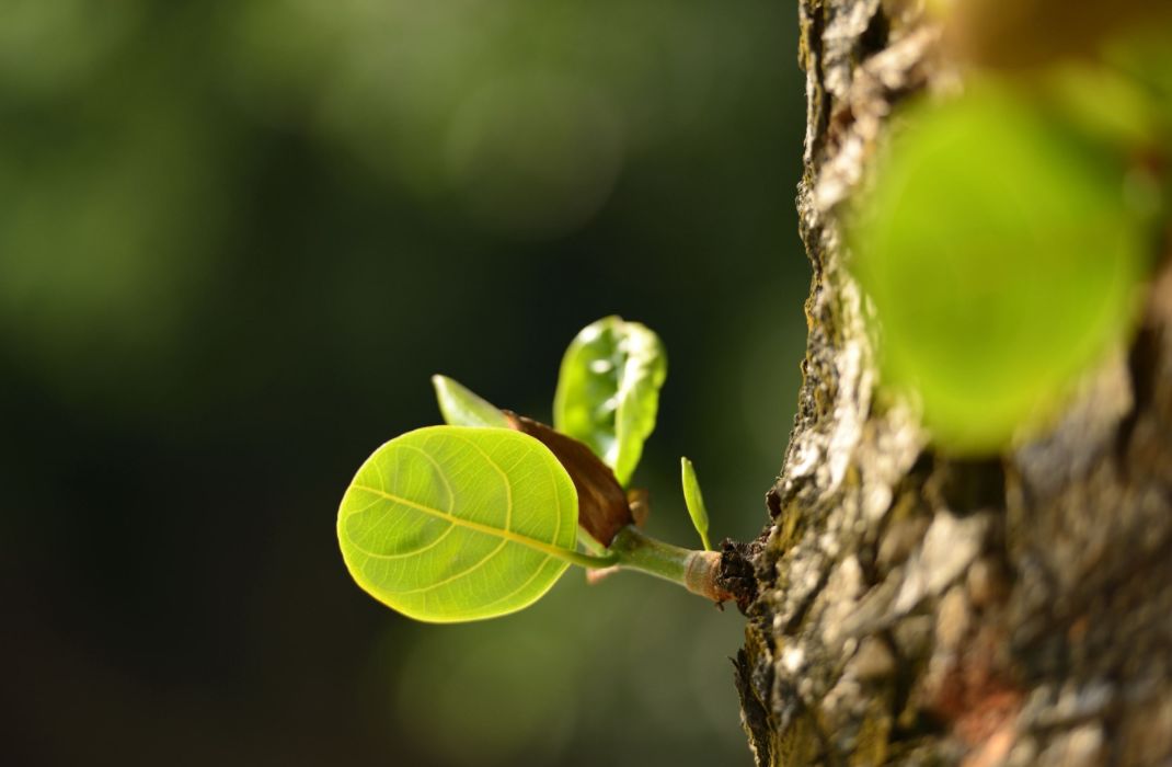 春季饮食大原则丨疫时防病,平日防感