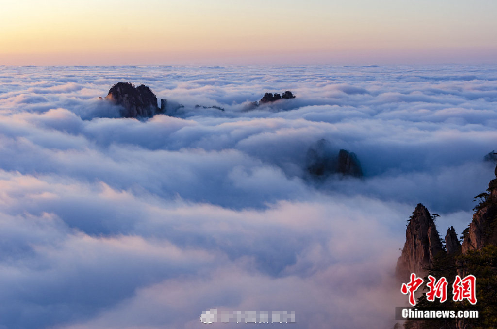 安徽黄山现绚丽多彩"霞海"奇观