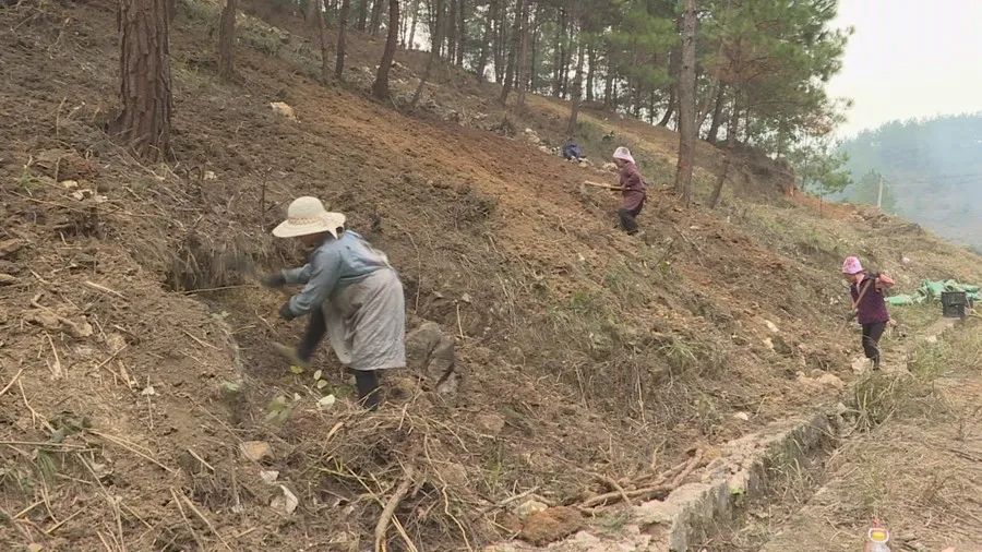 通过省财政厅同步小康驻村工作队的牵线搭桥,2019年9月黔东南重普阳