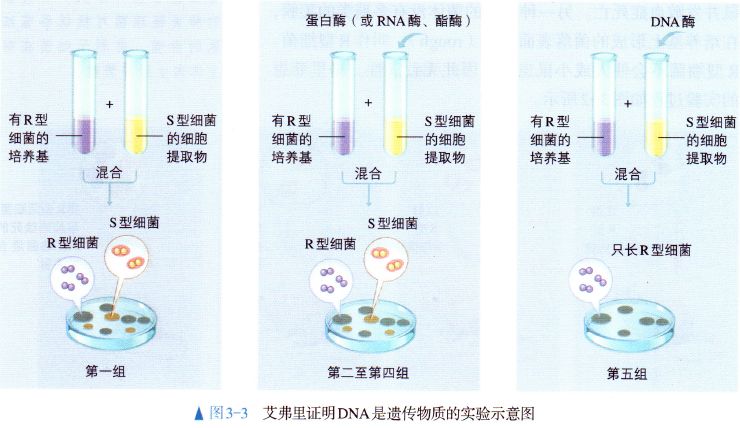 深度读2