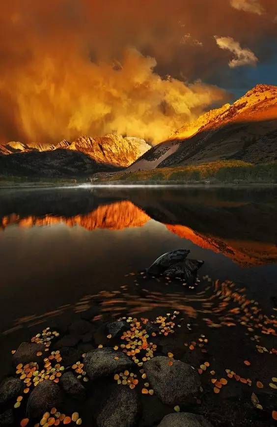 7474世界绝版照片少见了美爆朋友圈