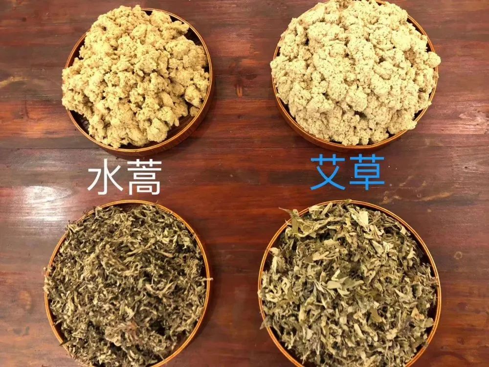 真艾草与假艾草图片图片