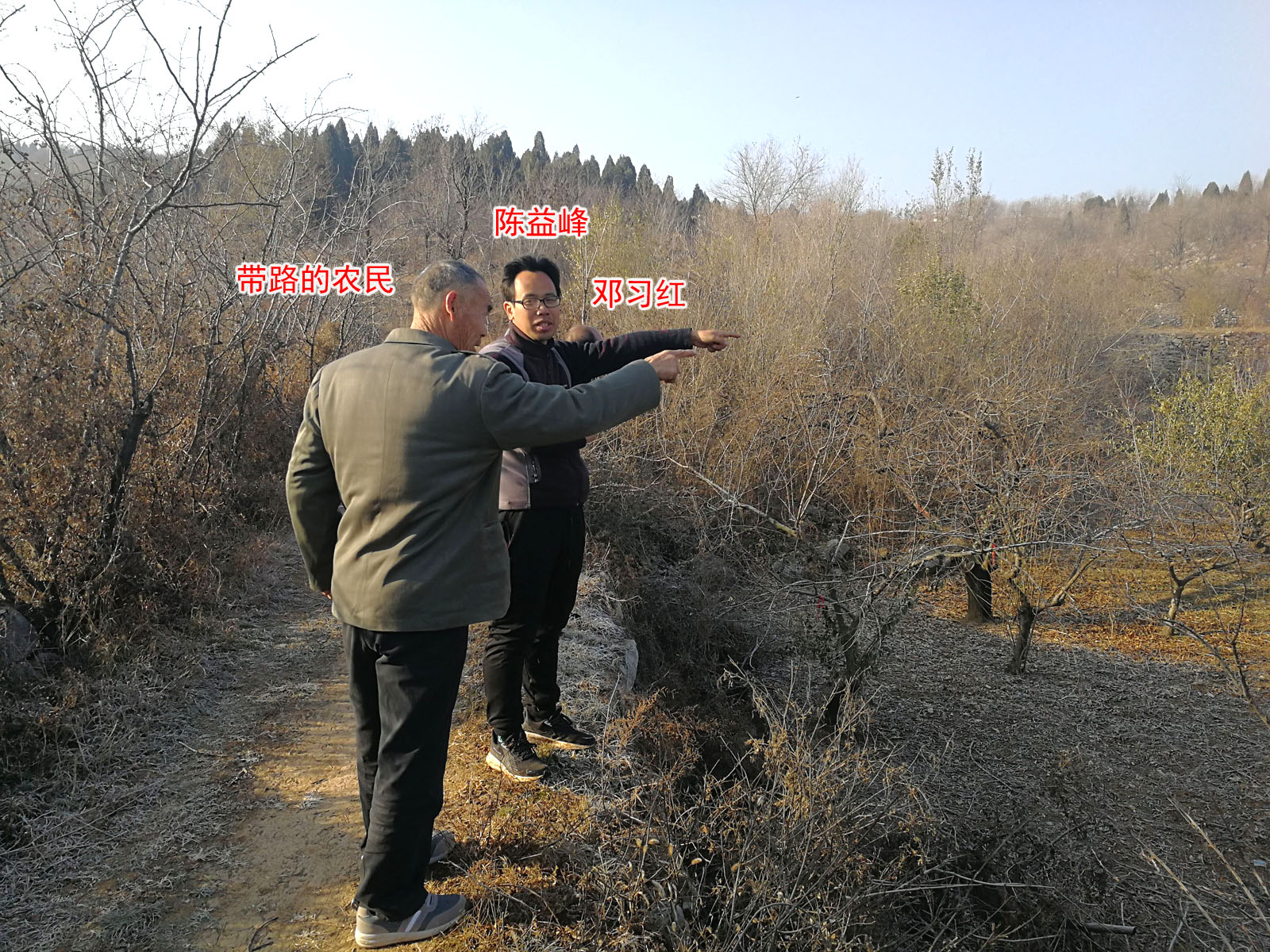 陈益峰卧牛地王氏从三品祖坟