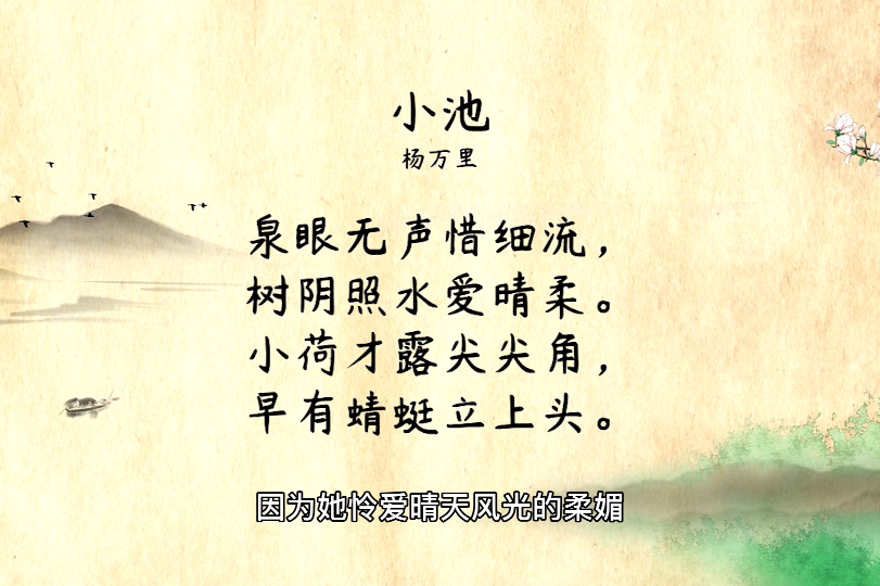 小荷才露尖尖角,早有蜻蜓立上头,小学语文必背古诗《小池》