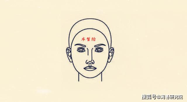 木型脸的重要特征便是脸型较为瘦长,而且鼻梁较为挺直,这种脸型的人大