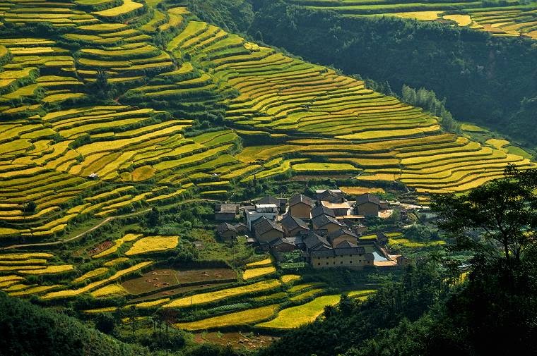 钟南山院士提出开放景区很有必要广东连山县是中国氧吧之城