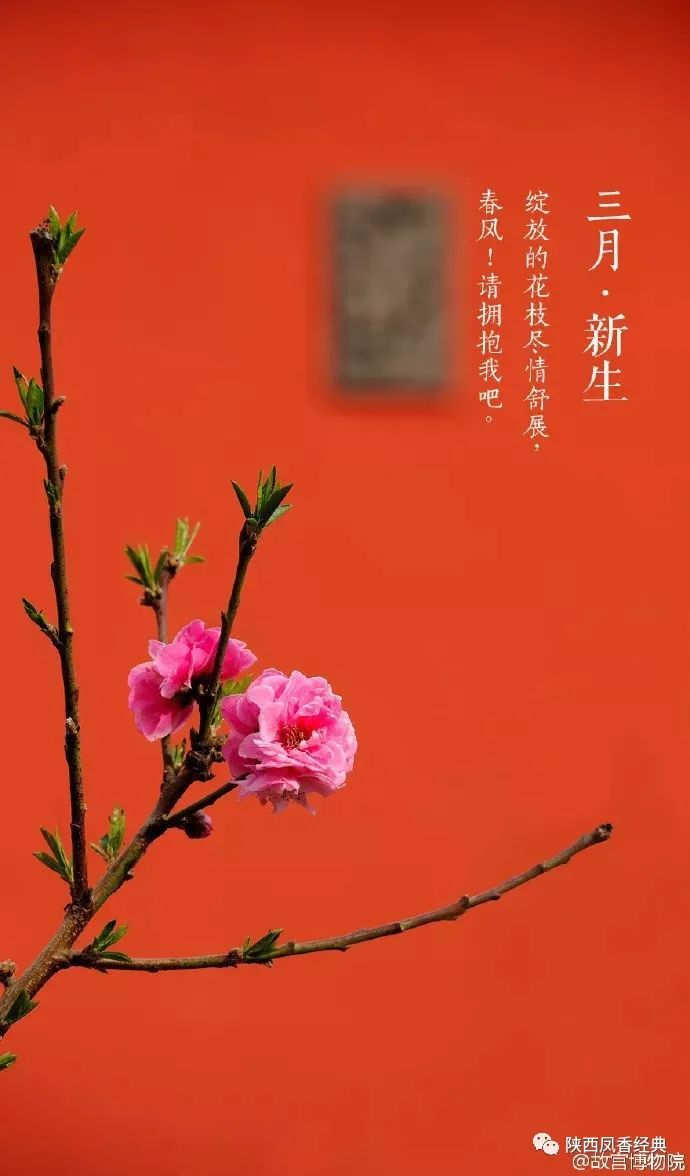 三月愿山河无恙岁月静好