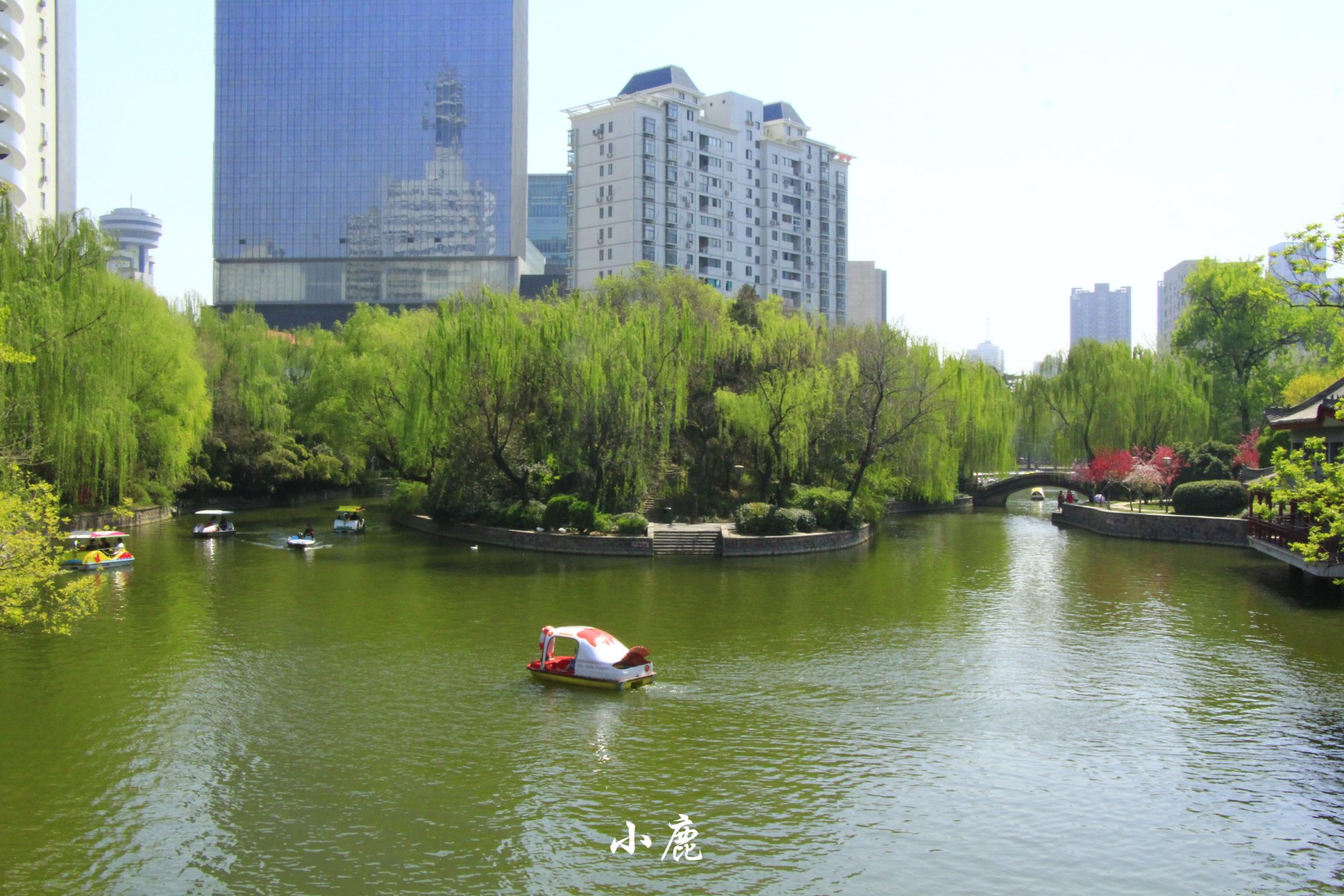 原創全部免費鄭州這10個公園適合全家人3月踏青賞花