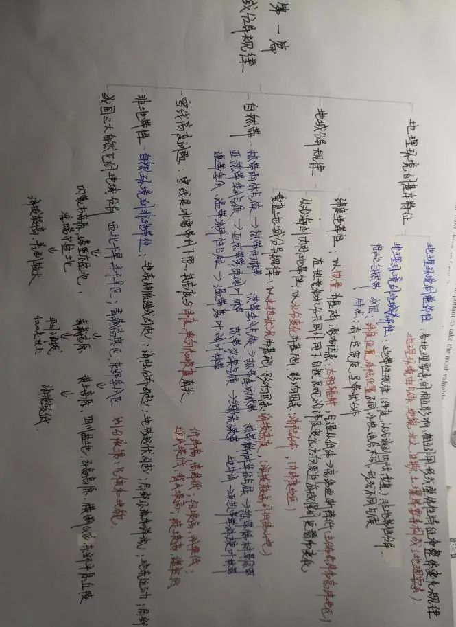 王佳雯缪隽怿徐奕扬李想龚凌霄孙彦潘慜昕归伊灵