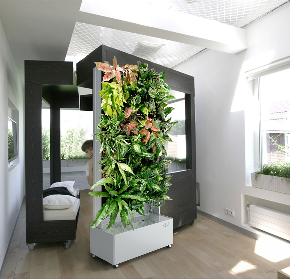 把花园搬到室内打造居室氧吧一个花园一样的家