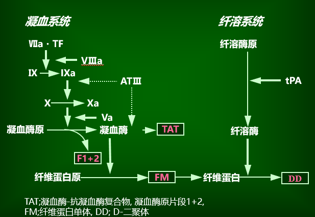 血液凝固机制图片