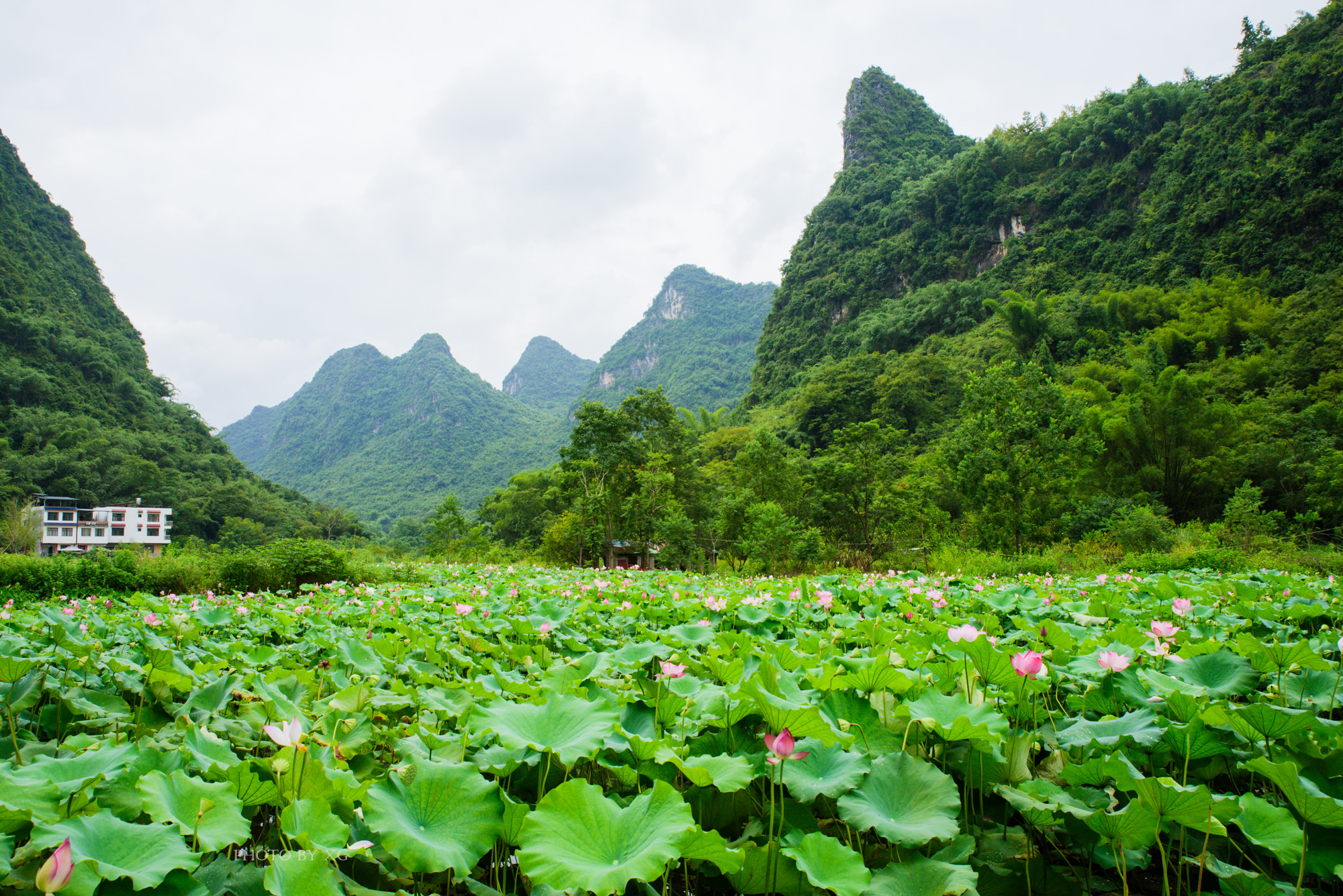广西桂林这处景色绝美的山水观光带被称十里画廊却遭游客吐槽差