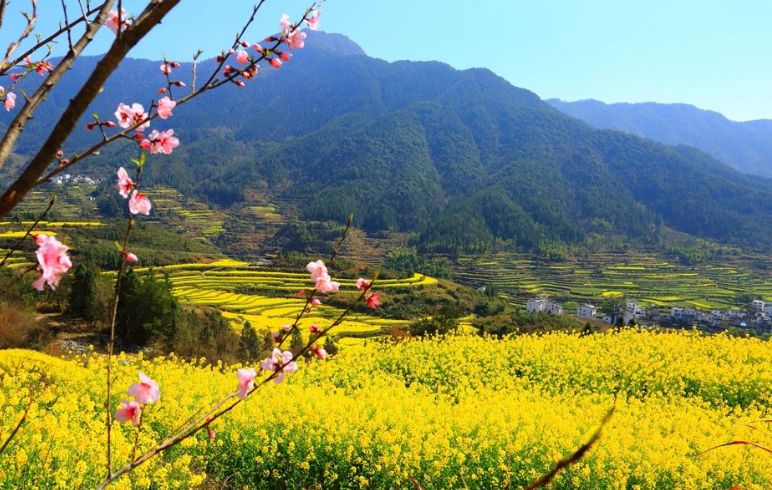 诗词鉴赏仲春之月大地春暖草长莺飞仲春的美妙的诗篇