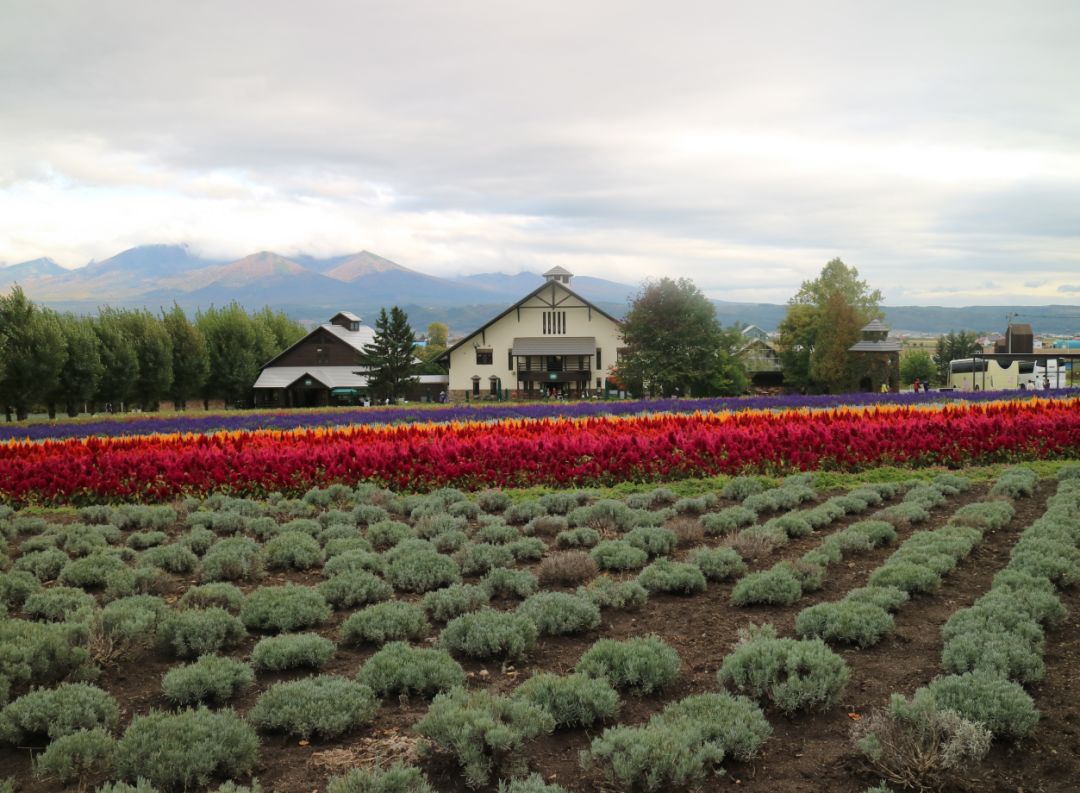 原创日本休闲农业好在哪五个考察案例让你get到休闲农业的精髓