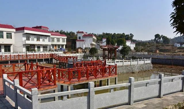 桂阳这两个村入选国家级森林乡村,快来看看吧!