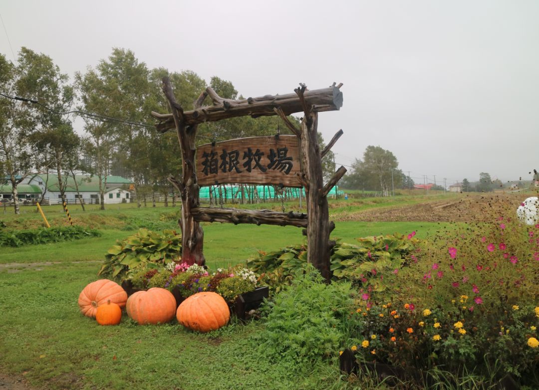 原创日本休闲农业好在哪五个考察案例让你get到休闲农业的精髓
