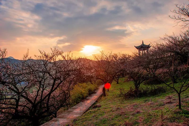 门票(仅供参考):免费地址:绍兴市柯桥区王坛镇东村等到疫情结束后