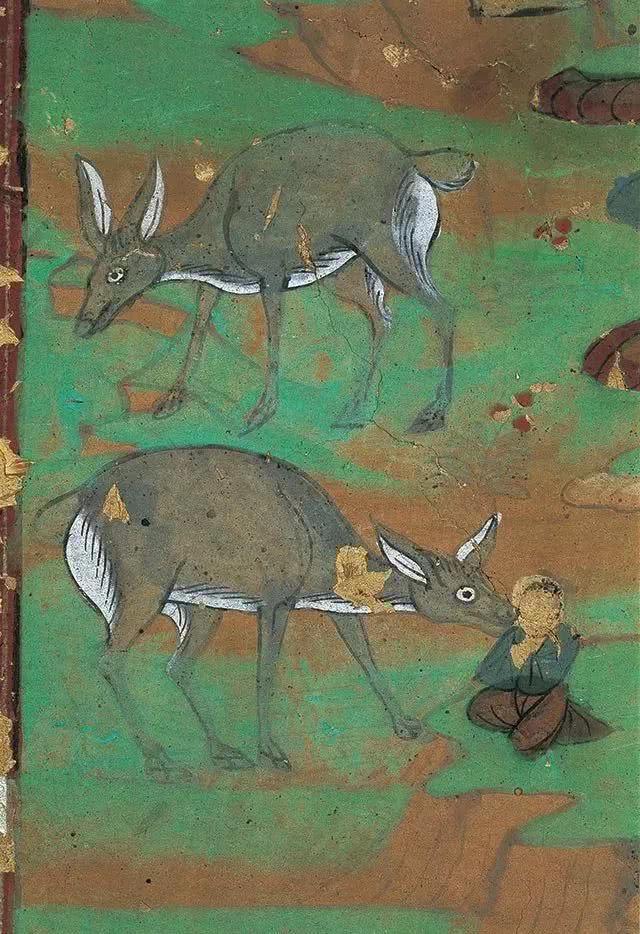 敦煌壁画里动物们狮子最早出现鹦鹉为符瑞之鸟骆驼任劳任怨