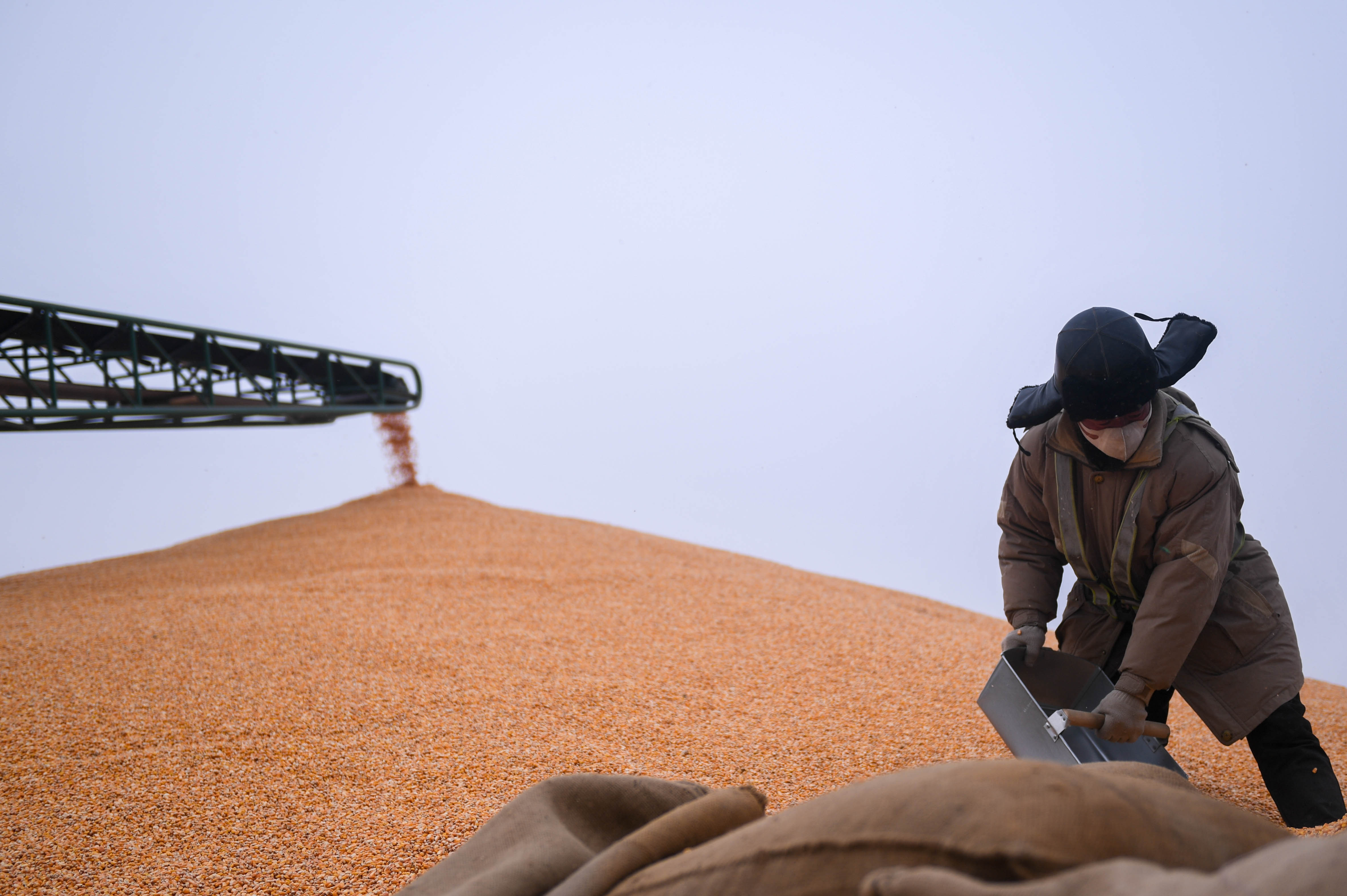 吉林中储粮收购工作顺利进行